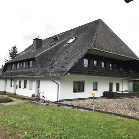 公寓 Beautiful & Pool Black Forest 5 People