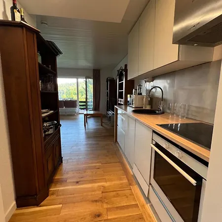 公寓 Beautiful & Pool Black Forest 5 People 哈瑟恩